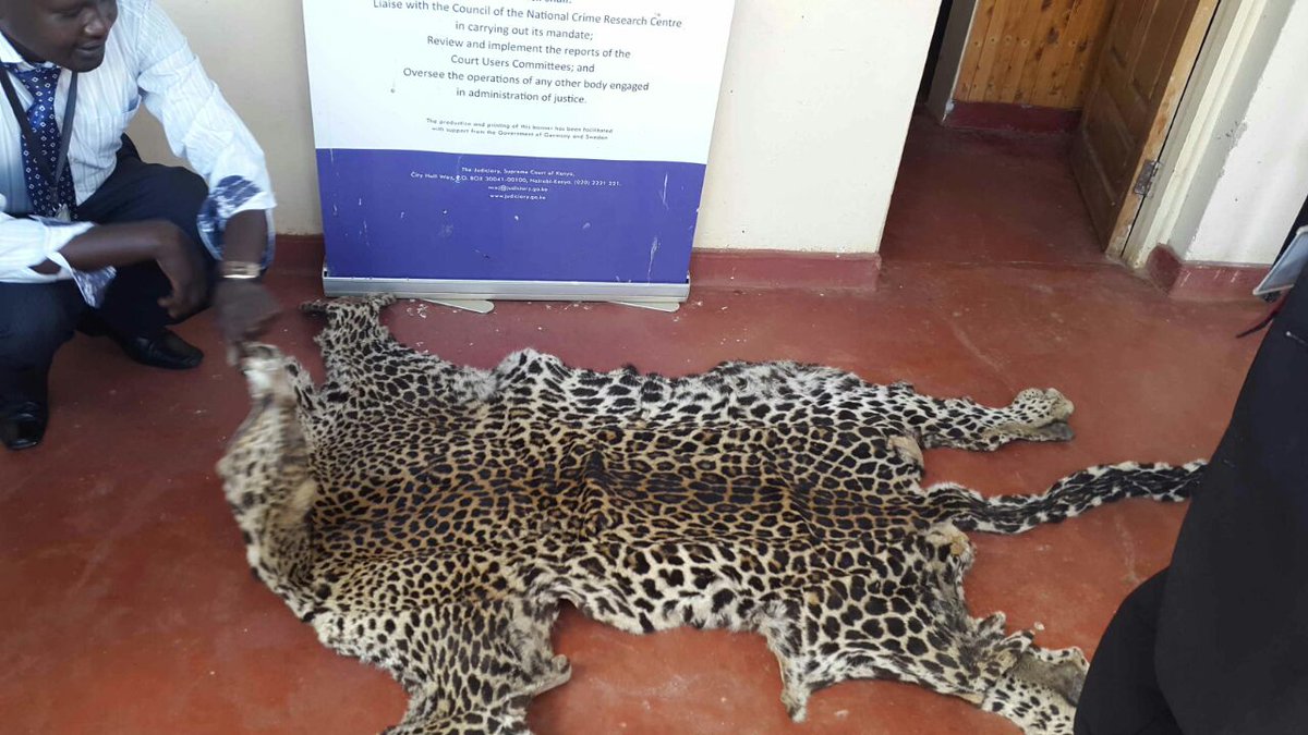 ODPP_KE's tweet photo. A man has been charged for possession of leopard skin in the Kilgoris law courts #Poaching_ODPP DKW https://t.co/xE6k4gkL38