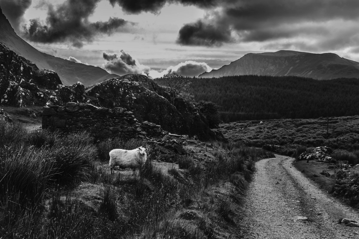 ogwenfalls's tweet photo. #RhydDdu #trails, #Snowdonia #mountains #northwales https://t.co/zkpfVbvI5p