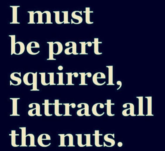 personcom's tweet photo. Not having much luck dating? Give https://t.co/MDLZgqZ8cK a try! https://t.co/lmw4OxFEEm