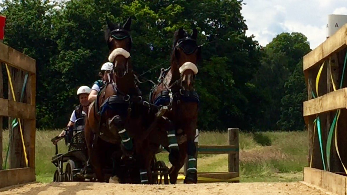 LibbyPriest's tweet photo. Boys finished 2nd in the Advanced Horse Pairs FEI2* @ Sandringham International @ the weekend. @iomsteampacket https://t.co/iNgFAvGypU