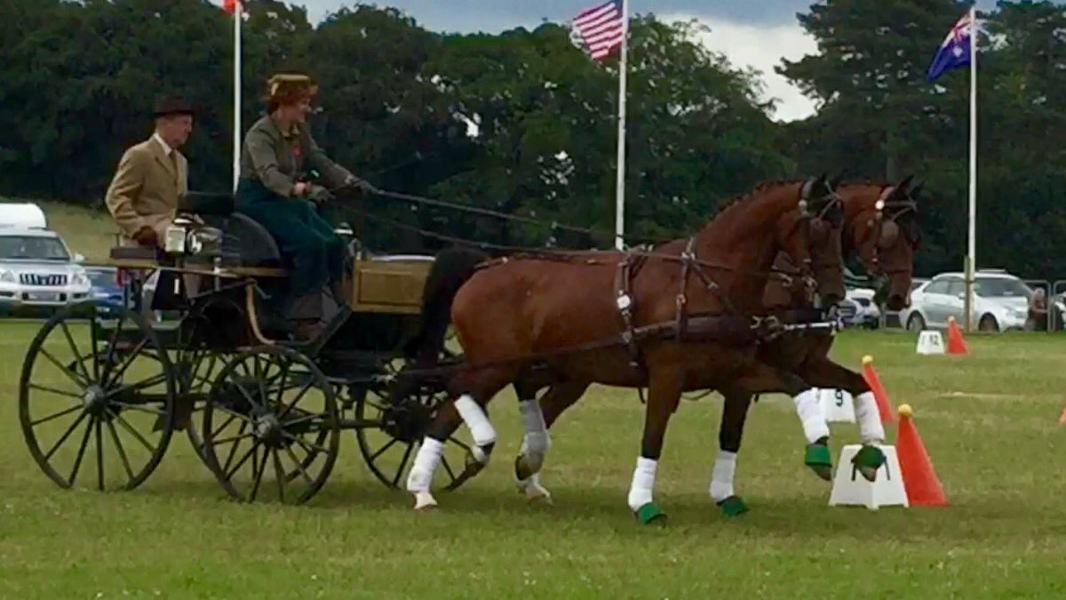 LibbyPriest's tweet photo. Boys finished 2nd in the Advanced Horse Pairs FEI2* @ Sandringham International @ the weekend. @iomsteampacket https://t.co/iNgFAvGypU