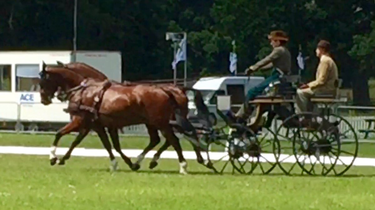 LibbyPriest's tweet photo. Boys finished 2nd in the Advanced Horse Pairs FEI2* @ Sandringham International @ the weekend. @iomsteampacket https://t.co/iNgFAvGypU