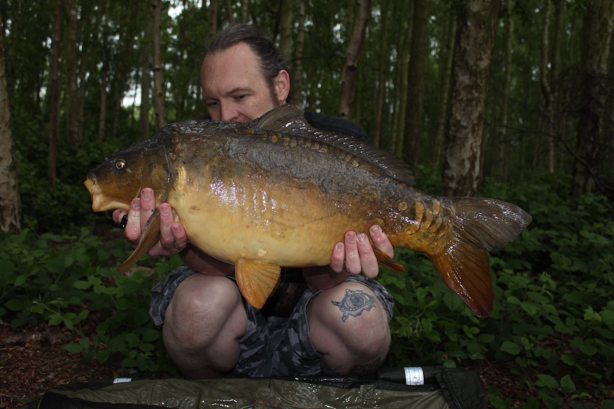 LA_CARP_BAIT's tweet photo. Check out @thecarpcast Mark Watsons latest blog piece on #LACARP https://t.co/0ZJtzOQVIV  #KS15 #carpfising #Krill https://t.co/jBafyQCbhF