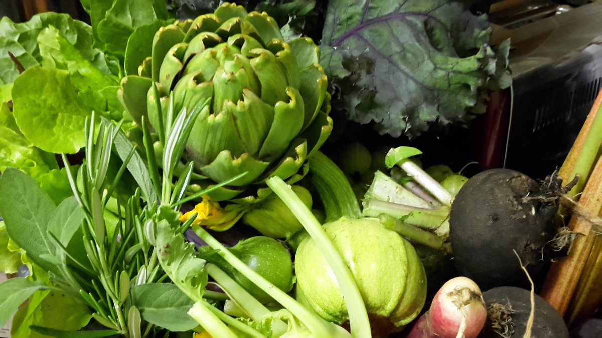 dovecotenursery's tweet image. Veg boxes today #anglesey #local