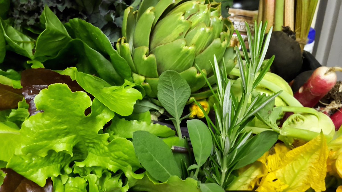 dovecotenursery's tweet image. Veg boxes today #anglesey #local
