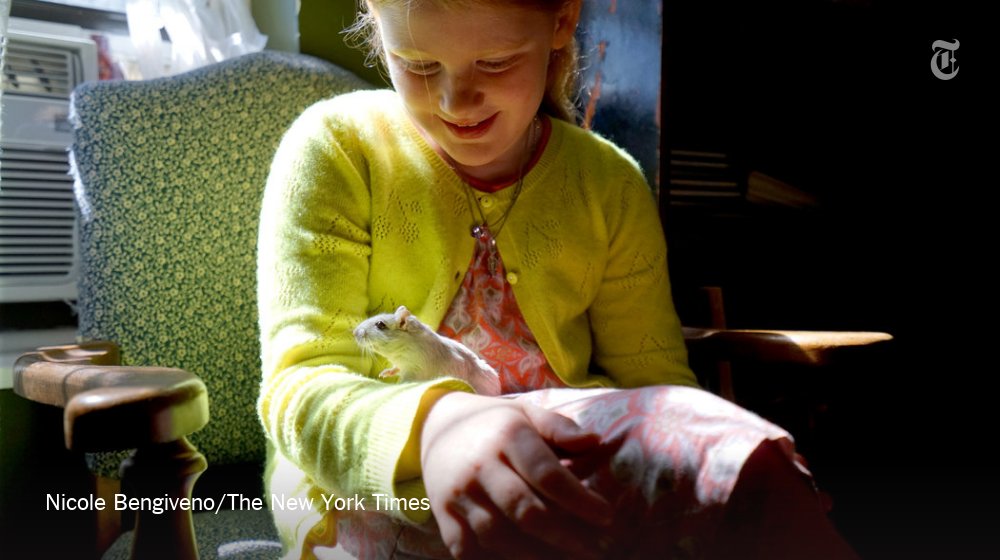 nytimes's tweet photo. When school breaks for summer, what happens to classroom pets? https://t.co/peYYeNBsf0 https://t.co/6IUTARTVgM