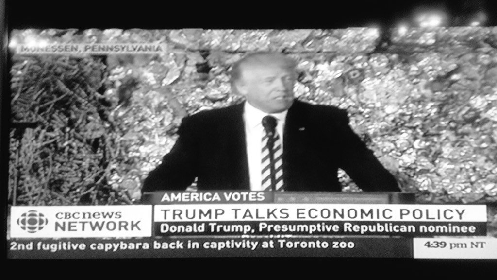stanleysun's tweet photo. 2nd fugitive capybara back in captivity at Toronto zoo #drumpf #news #cbc https://t.co/gs7girn1Lb
