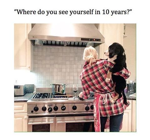 GeorgeTakei's tweet photo. Doggonit. #dogmom #funny #dog #dogs #dogsofinstagram #meme... https://t.co/M41BP7Nhba https://t.co/v4KSXAiVNY
