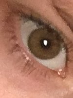 callmebybrooke's tweet image. #swimforsight