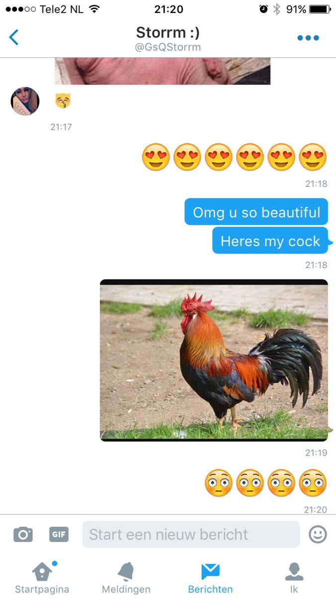 Robbert_Rijksen's tweet photo. Exchanging some naked pussies and cocks with @GsQStorrm https://t.co/912EVMqObk