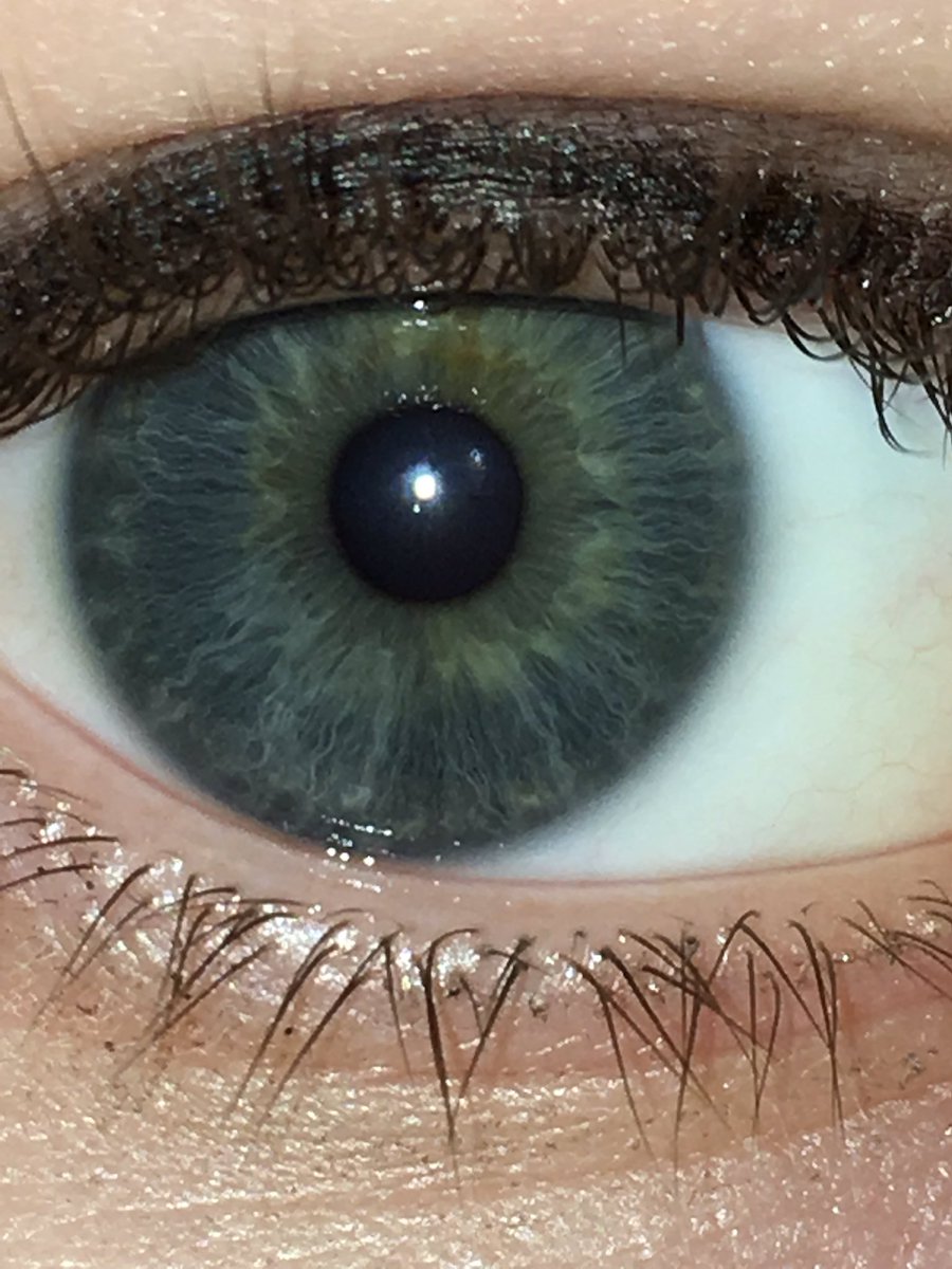 buckyisamarvel's tweet image. #swimforsight