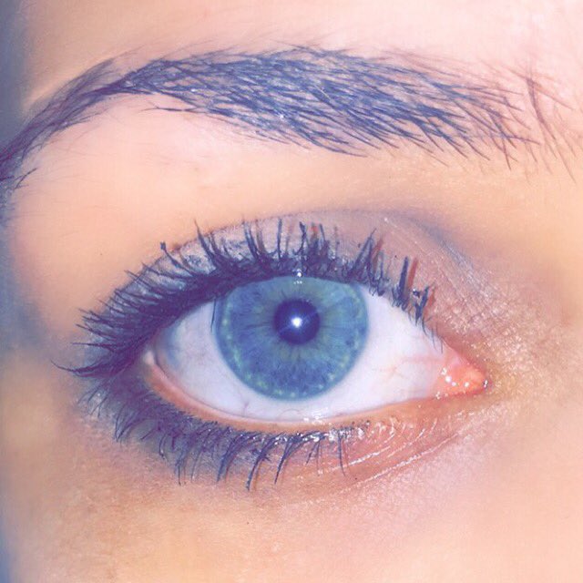 kayaxstevens's tweet image. #swimforsight @JackJ @jackgilinsky