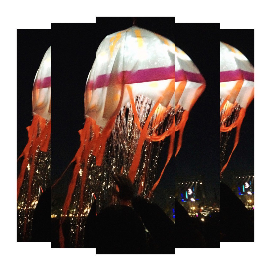 A N I M A I tweet media