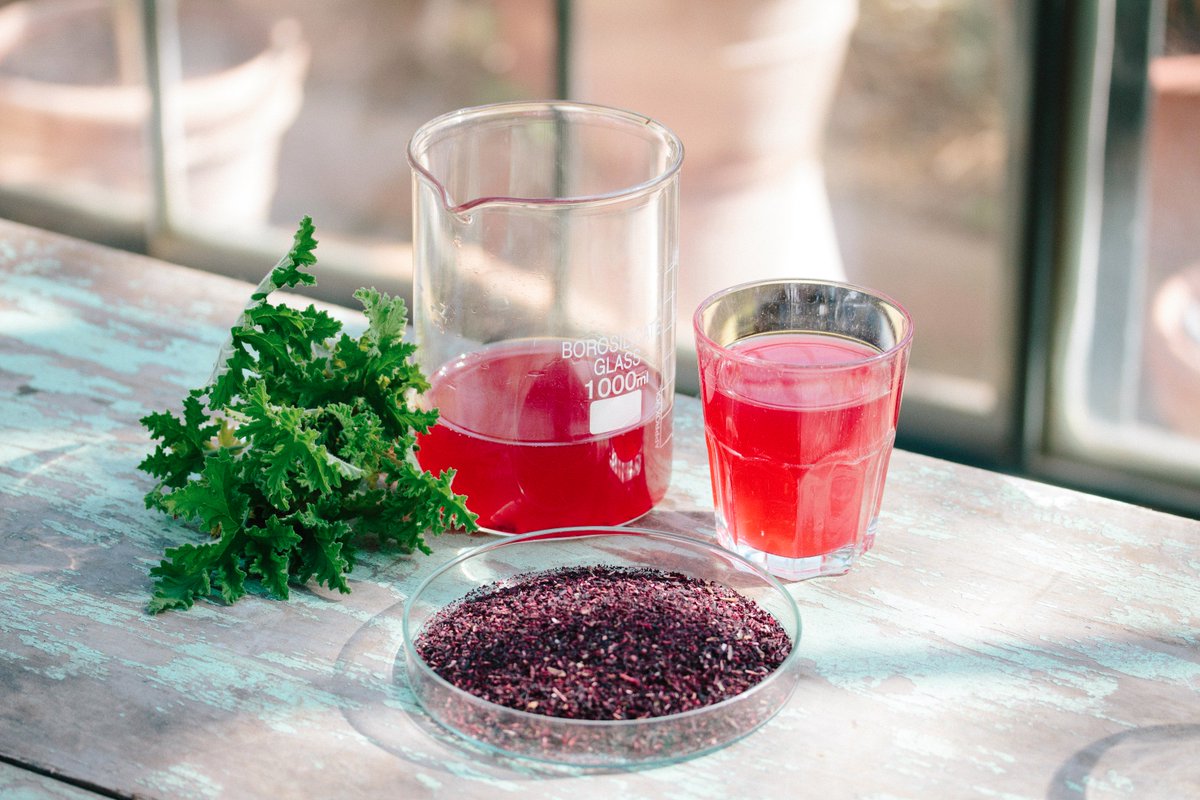 babylonstoren's tweet photo. Have you tried Kombucha yet? Read more about this healthy beverage https://t.co/wk7Z9xIZM8 #babylonstoren #kombucha https://t.co/sQmJQopMSX