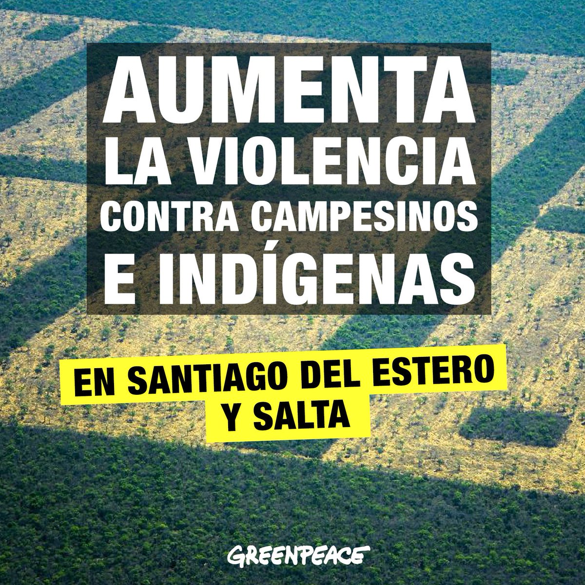 GreenpeaceArg's tweet photo. RT - Aumenta la VIOLENCIA contra campesinos e indígenas:  https://t.co/ywgtyHy6SI #DesmontarEsUnCrimen https://t.co/AeXzMq1pUa