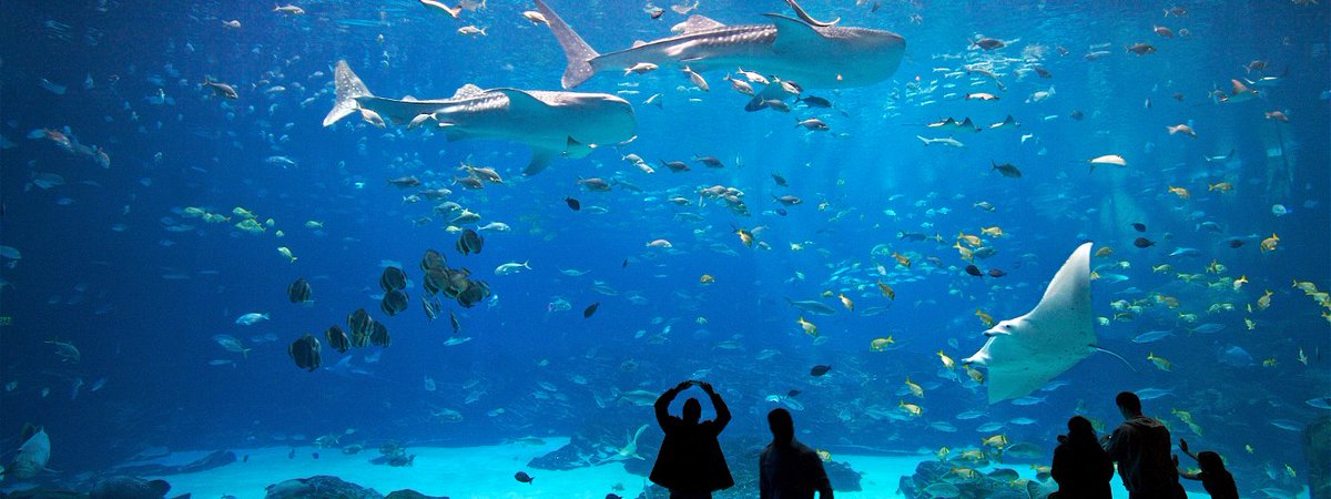 Leadership_GA's tweet photo. Mark your calendar! Our 7th annual gala will be held Friday, Nov. 4 at the Georgia Aquarium. https://t.co/VN0yB1rccf
