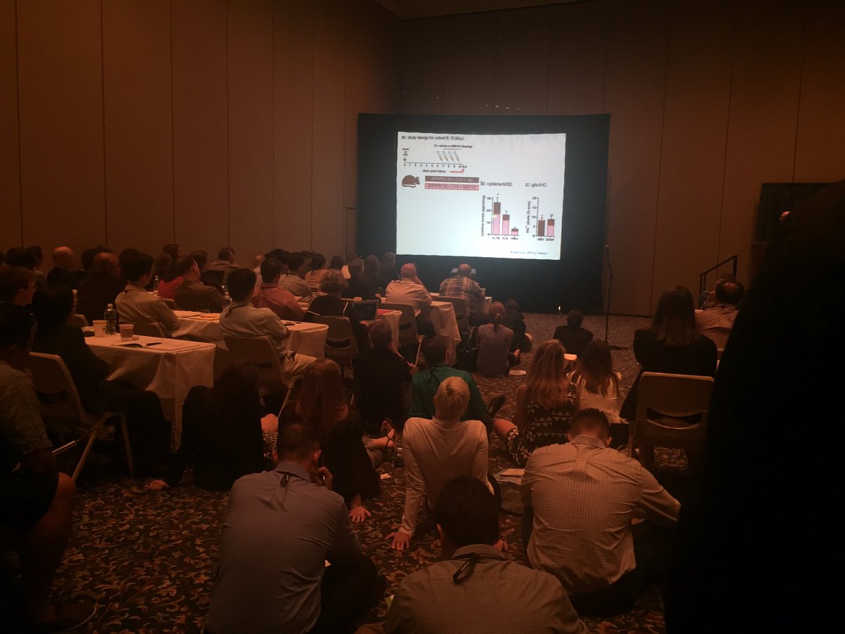 Standing room only at the Neuroinflammation session! #NNS2016