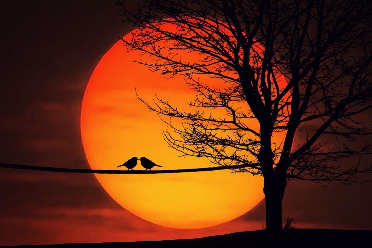 ramblingsloa's tweet photo. Put your thoughts to sleep, do not let them cast a shadow over the moon of your heart.

Let go of thinking.

Rumi https://t.co/PovD7leolI