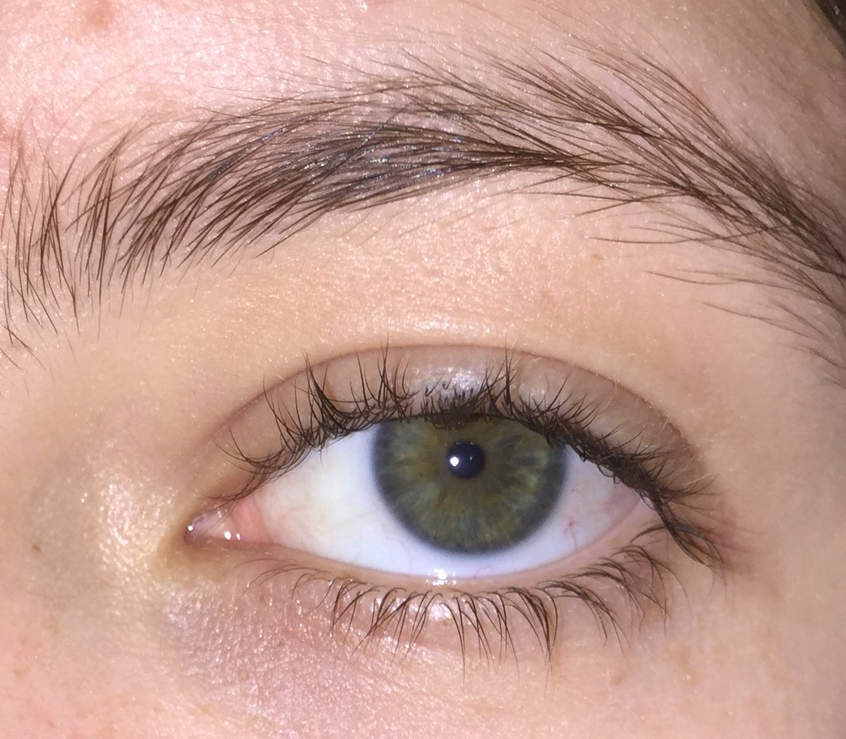 xxvabxx's tweet image. #swimforsight 👁👁