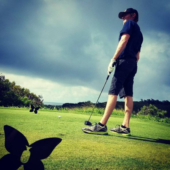 Hawaii Golf App tweet media