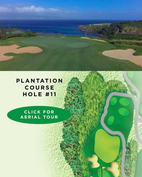 Hawaii Golf App tweet media