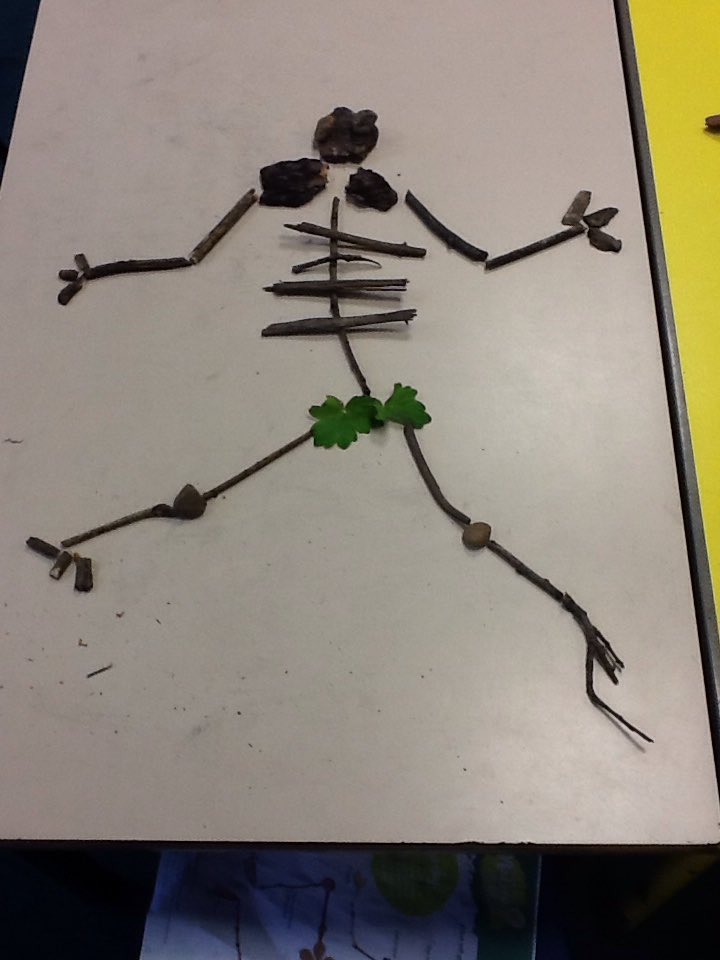 KNoon36's tweet photo. Skeletons in nature club this week! @Battyeford https://t.co/4Rbsp2UWyR