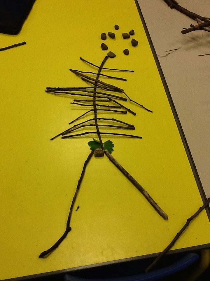KNoon36's tweet photo. Skeletons in nature club this week! @Battyeford https://t.co/4Rbsp2UWyR
