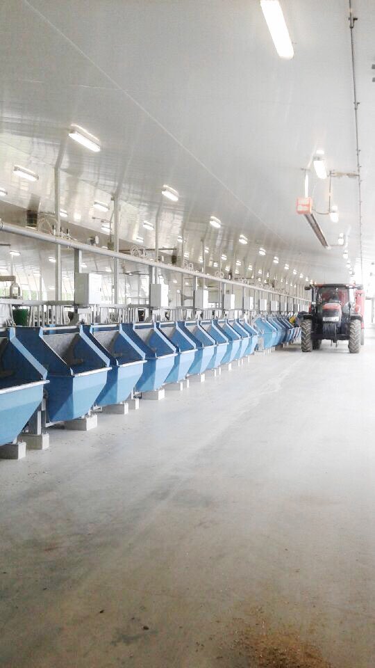 GroberNutrition's tweet photo. Now that's one clean bunk! Checking out feed research trials at @uofg #teamdairy thanks 4 the tour @UofGResearch https://t.co/2bSemBmyCo