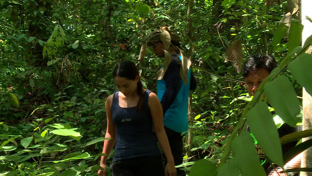 Trans7 On Twitter Berburu Hewan Endemik Hutan Kalimantan