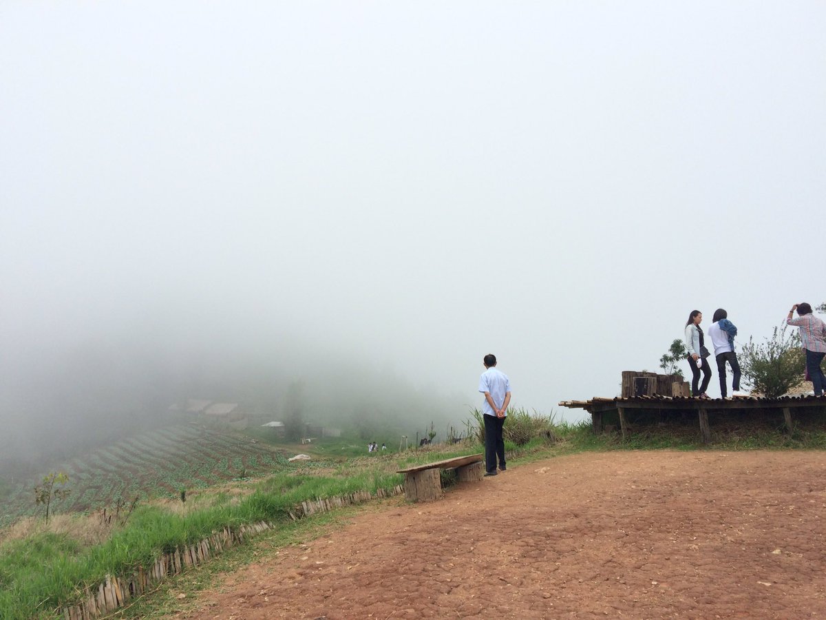 waiyapa_MT93's tweet image. ม่อนแจ่ม อากาศดีเย็นสบาย ไม่ร้อน ไม่หนาว หมอกเยอะมากๆ. คุ้มจริง #รีวิวเชียงใหม่ #ReviewThailand #reviewchiangmai