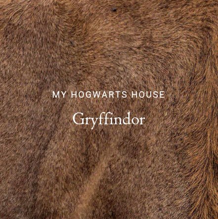 cityiightnouis's tweet photo. so i'm a gryffindor slash a horned serpent 🎉 

how 'bout you guys? what's your ilvermorny house? https://t.co/lMk2b7lEOv