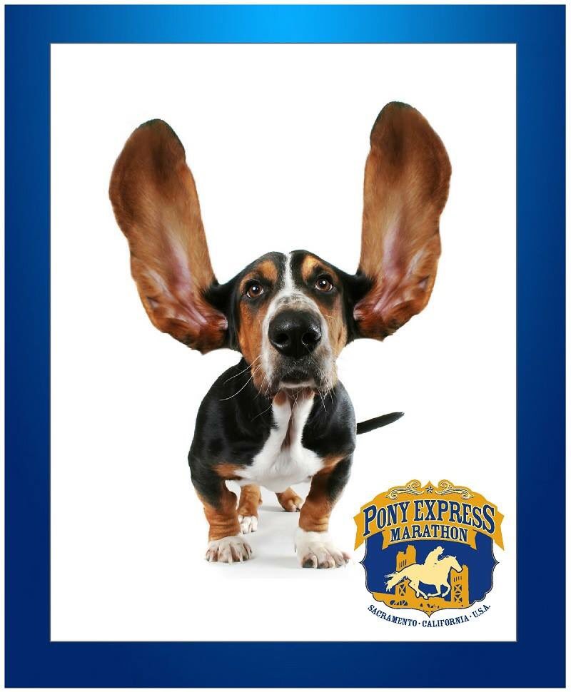 RunPonyExpress's tweet image. We've listened to you - bag check and early start for the FULL!  Early Reg is OPEN! goo.gl/qAV7IL