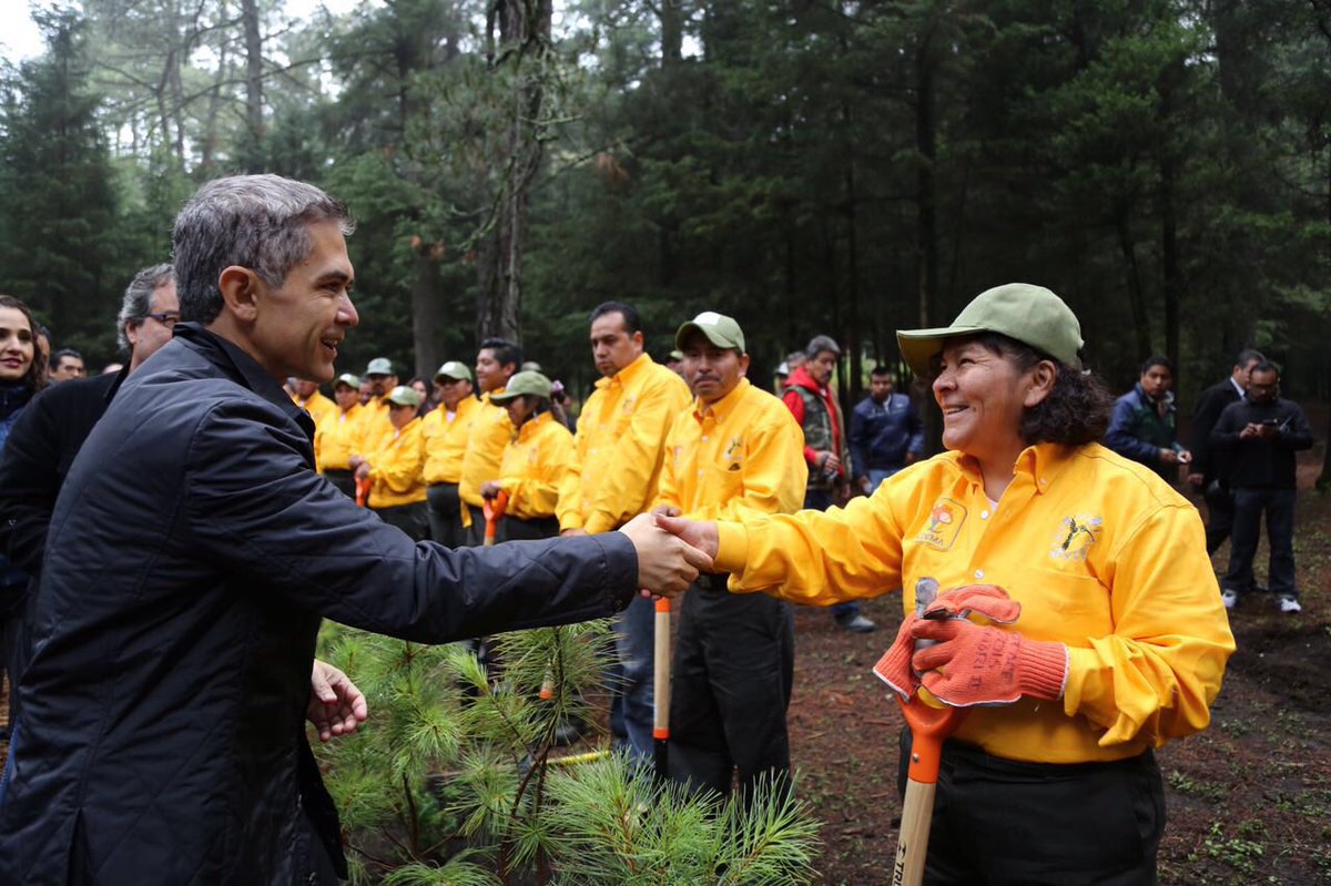 ManceraMiguelMX's tweet photo. Para este 2016, estaremos reforestando un total de 726, 464 árboles en un espacio de 1,090 hectáreas #mm https://t.co/fwdOWWmR5l