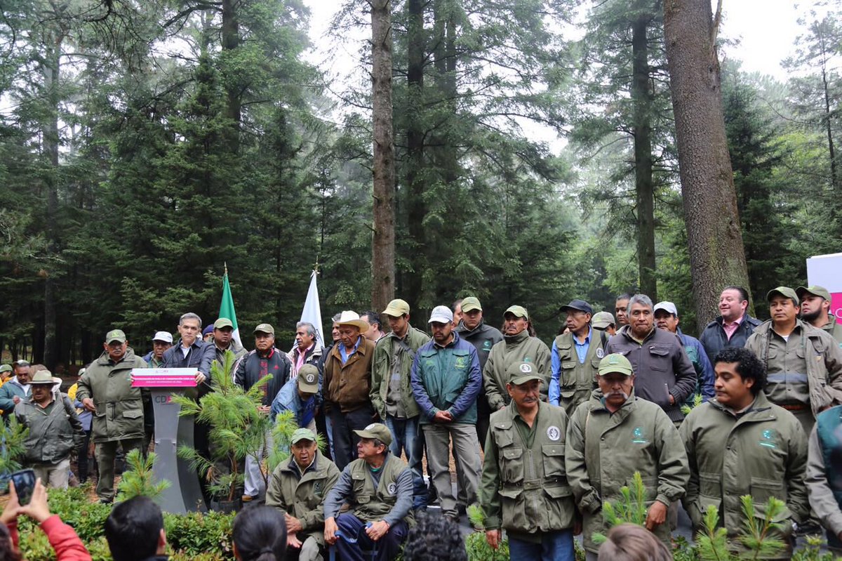 ManceraMiguelMX's tweet photo. Para este 2016, estaremos reforestando un total de 726, 464 árboles en un espacio de 1,090 hectáreas #mm https://t.co/fwdOWWmR5l