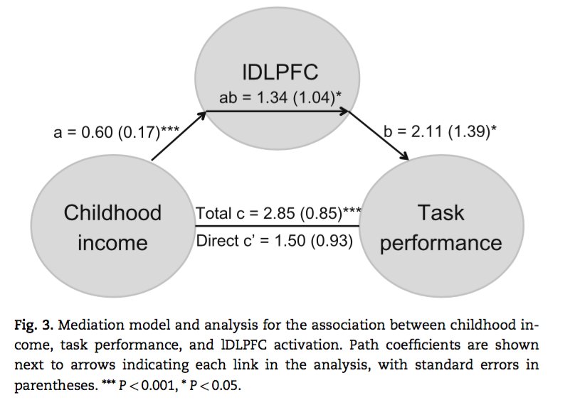 epub cognitive development the childs acquisition