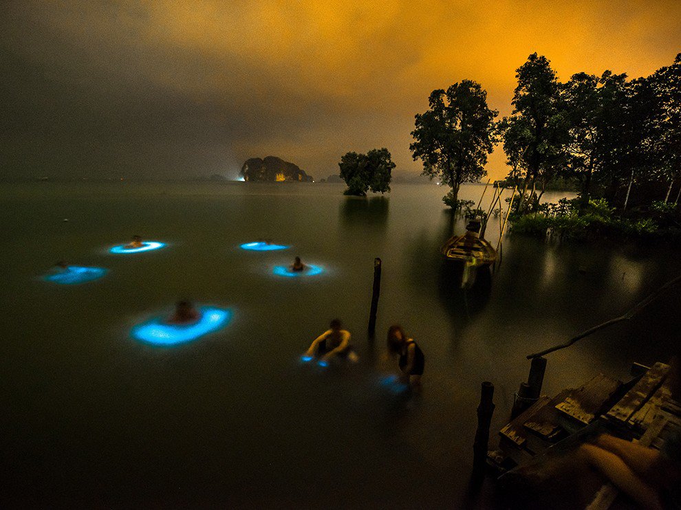 Bioluminescent phytoplankton surround swimmers v@NatGeo on.natgeo.com/28Xi3VY

📷 by Will Strathmann