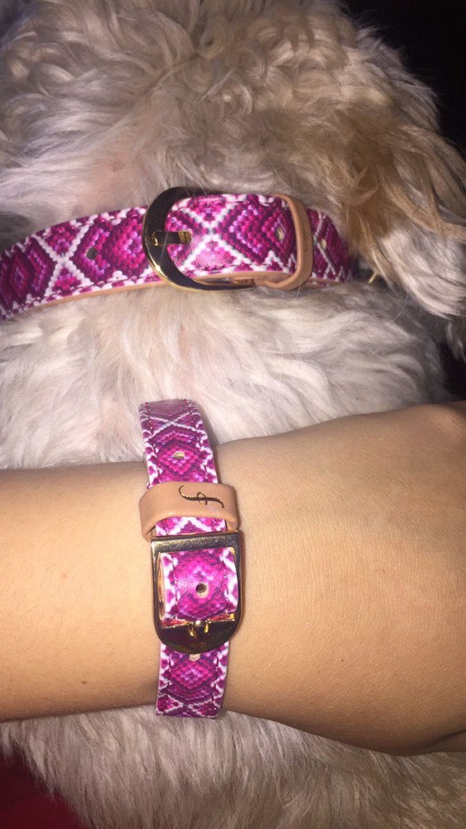 jedipretzel's tweet photo. Meggy loves her new collar and my matching bracelet.😋 @FCollars https://t.co/Svac9ymB0m