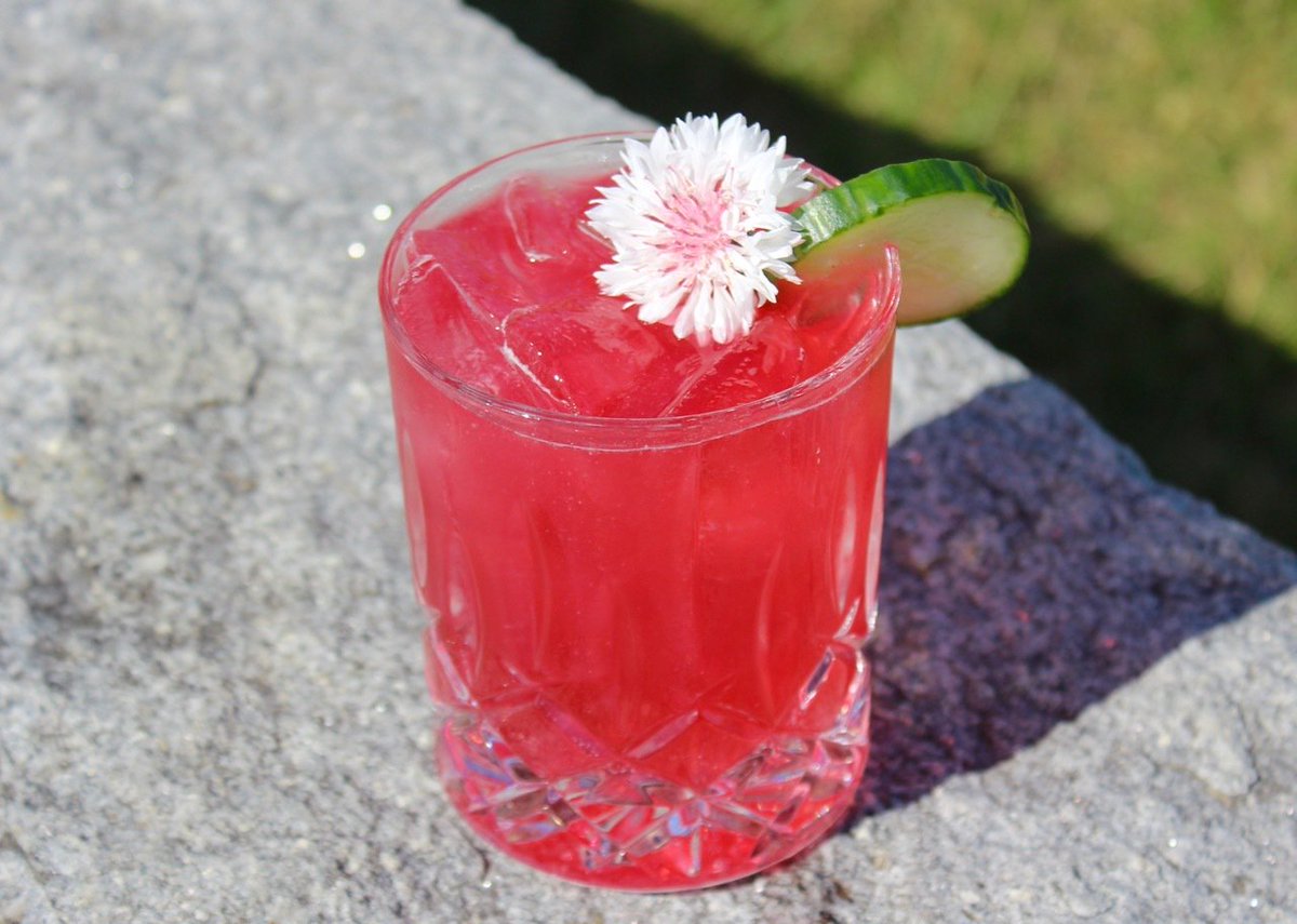 GibbetHillGrill's tweet photo. The "Cut and Crush" featuring @geraniumgin , muddled cucumber, hibiscus, dry vermouth, and @fevertreemixers tonic! https://t.co/1r1U5KlC1a