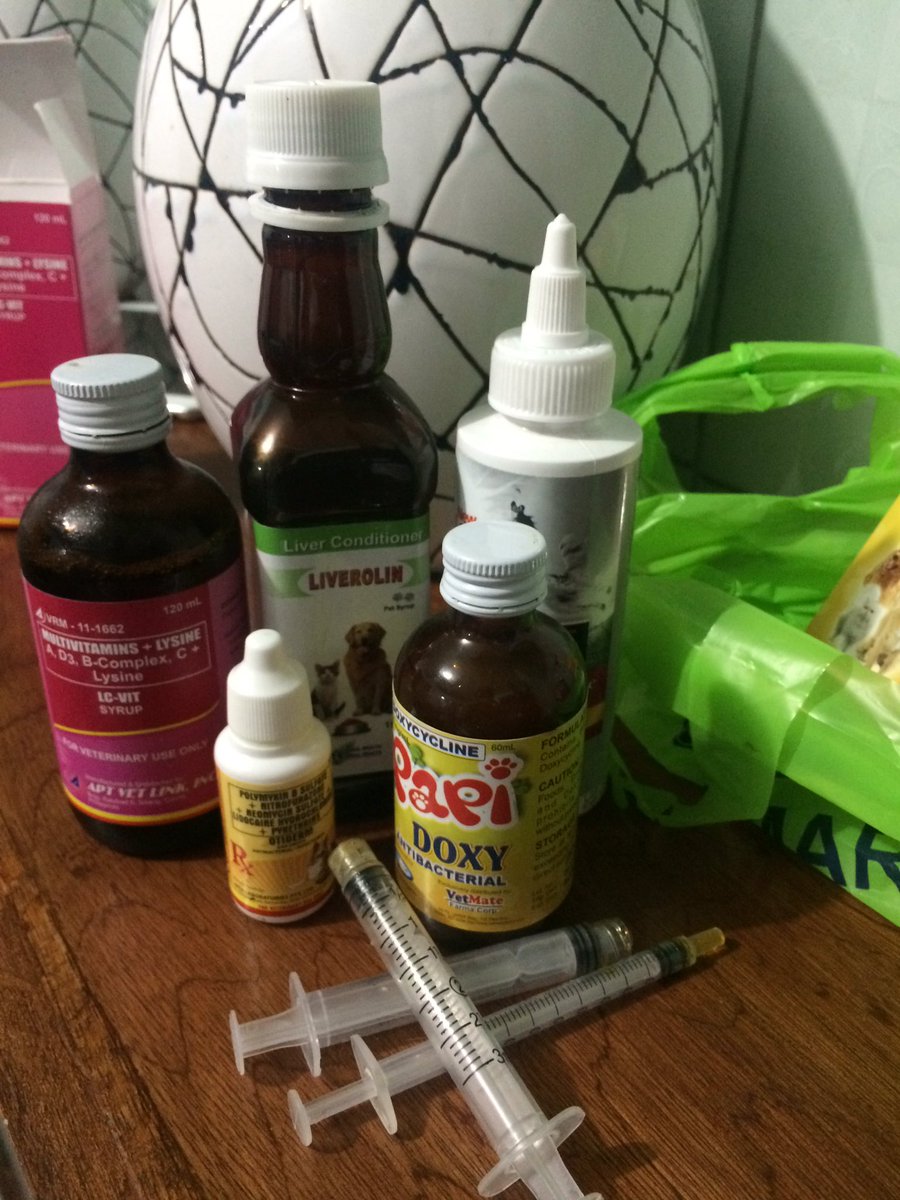 jahmontecillo's tweet photo. Why i'm broke. #SaveYourCat https://t.co/Zzc08F6FTr