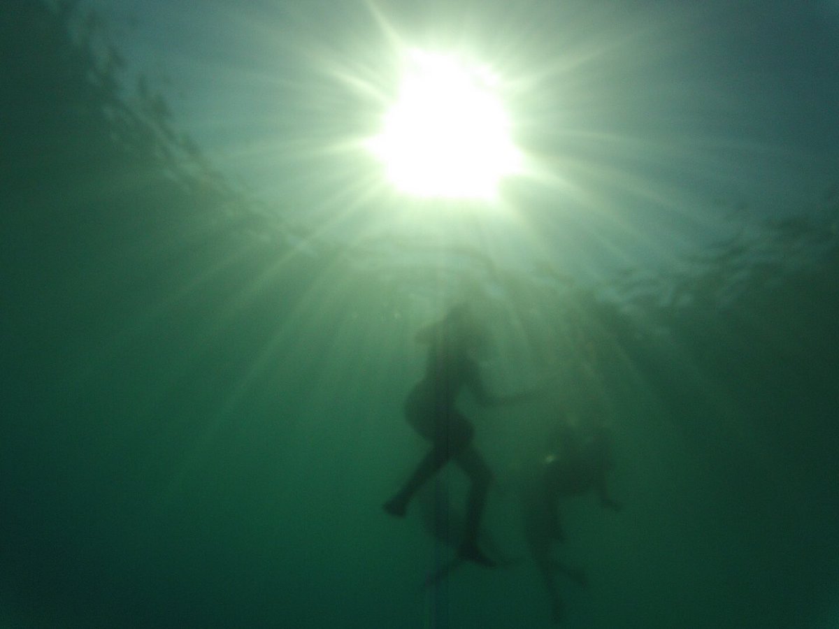 DohaDC_Wch's tweet photo. An afternoon swim in the Bay https://t.co/ur5TCQU36f
