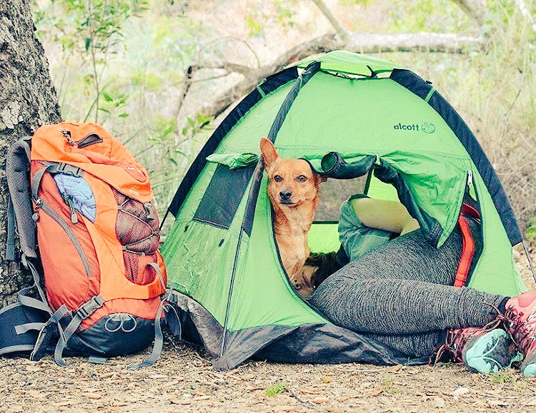 merrellperu's tweet photo. ¿Campamento en mitad de semana? ¿Qué planes para el feriado? #DoWhatsNatural https://t.co/ekwrPyiDER
