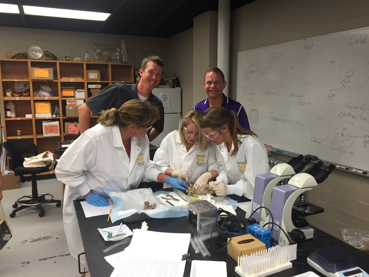 jonlanghans's tweet photo. Attention AHS Biomed students, Mrs. Wall is busy preparing for an amazing year. #afftonlearns #bacon https://t.co/ZhKLrJZmwK