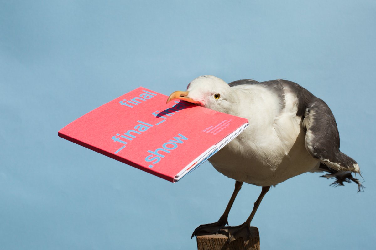 viscom16's tweet photo. @Design_Week We've sent our delivery seagull all the way from Bournemouth for you to see our grad show catalogue! https://t.co/jrzn6c7p9O