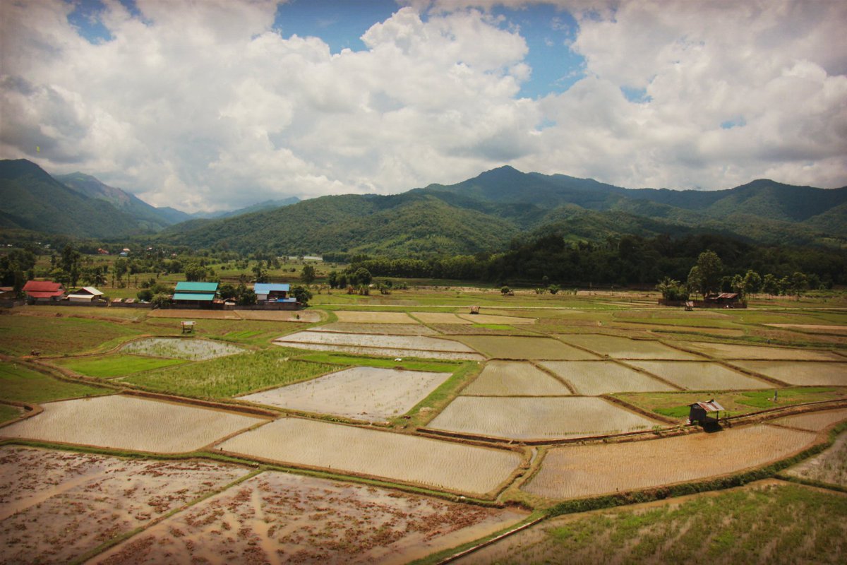 Mikkysweets's tweet image. น่าน เมืองเล็กๆ สงบ น่ารัก สุดชิล #ReviewThailand 
 #ปลูกป่าwithKS