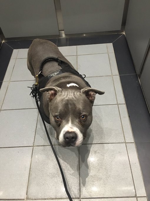 Good morning https://t.co/AdfTc8cb1w<a href="/tag/throwback"class="tags"><span>#throwback</span></a>