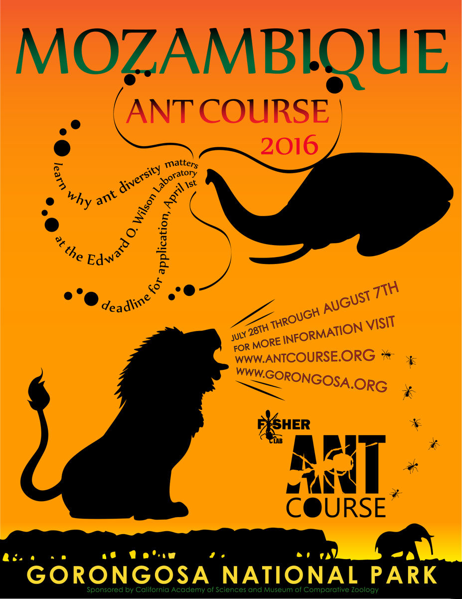 Countdown to #AntCourse 2016. We meet in Beira Mozambique on June 27. antcourse.org @EOWilsonFndtn