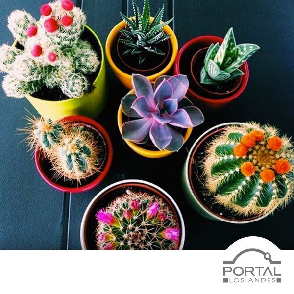 PortalLosAndes's tweet photo. ¡Dale un toque de color a tu casa! https://t.co/aWi7vZjEmD