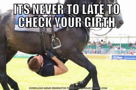 horsequotediary's tweet photo. Nunca es tarde para revisar la cincha. #horses #equestrian #caballos #horsequotes #horseproblems #HorseHour https://t.co/GtWG4wm6d4