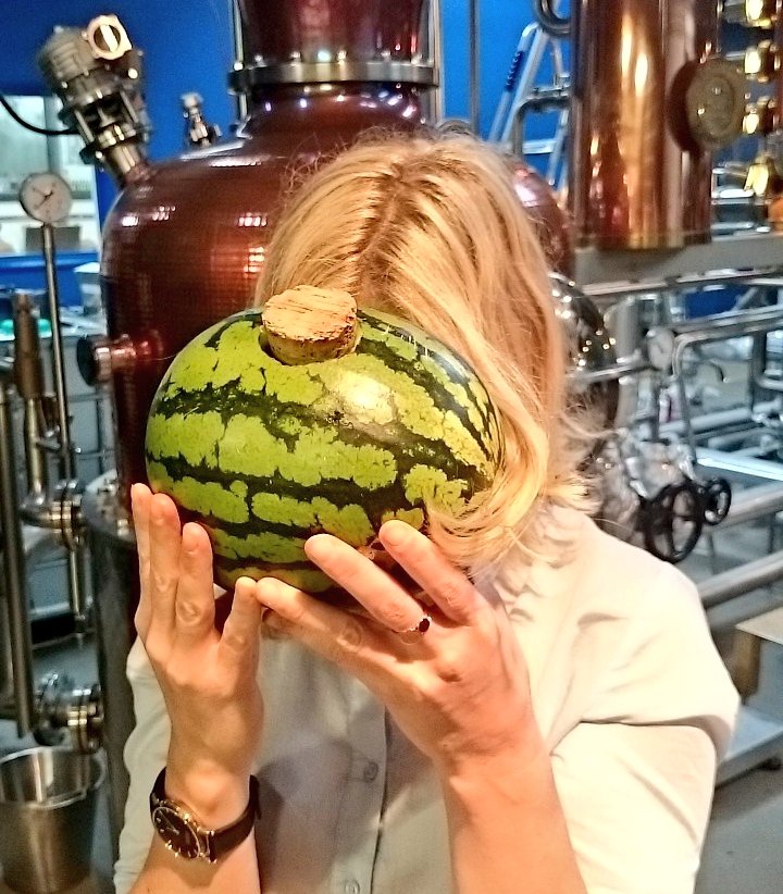 Oliver Kitson tweet media