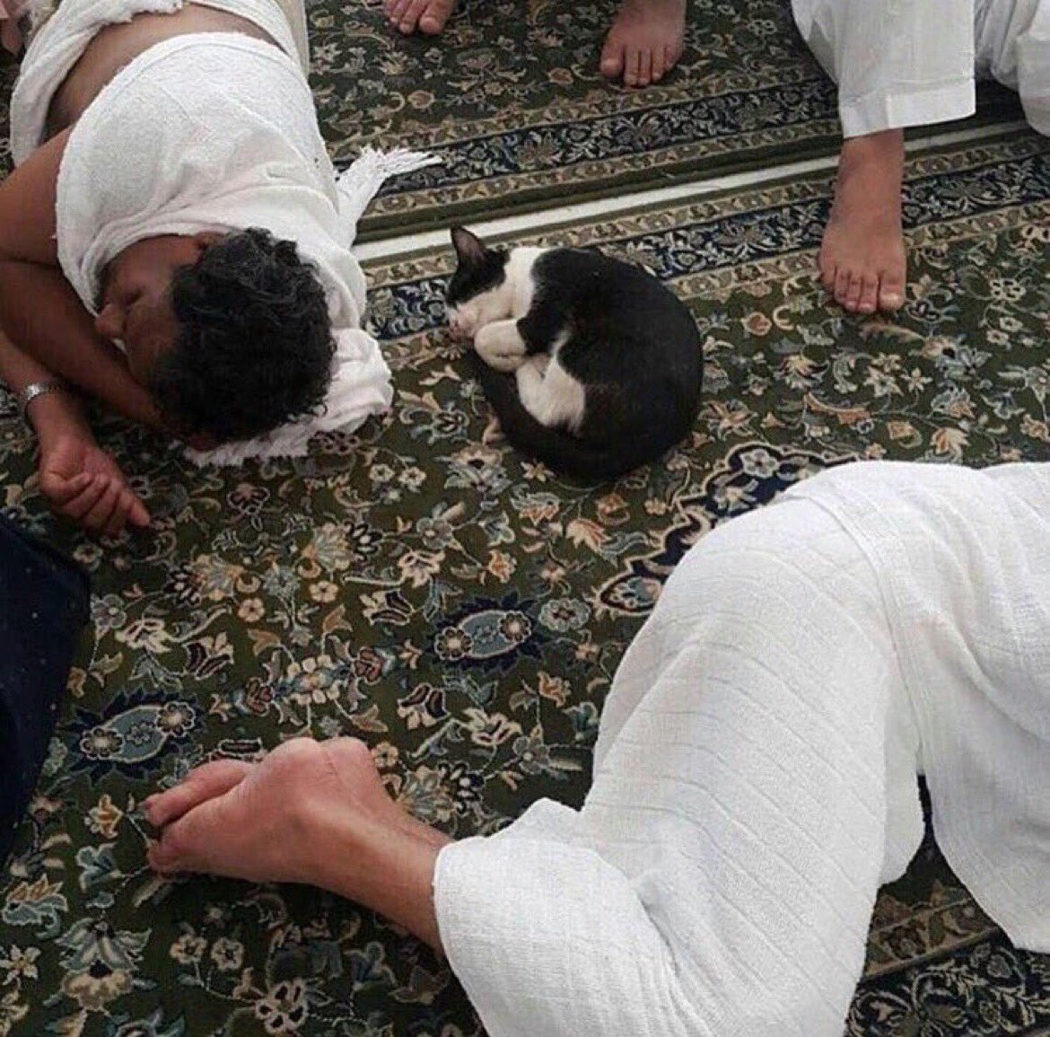 #ثامن_صوره_في_جوالك
شعرت بـ الأمان بين ضيوف الرحمن ..
ونامت 😴